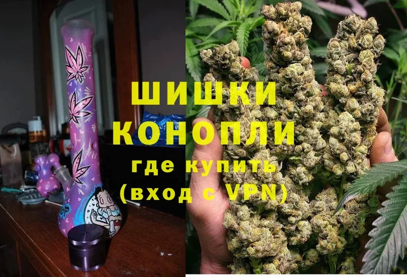 где купить наркоту  Дно  Конопля Ganja 